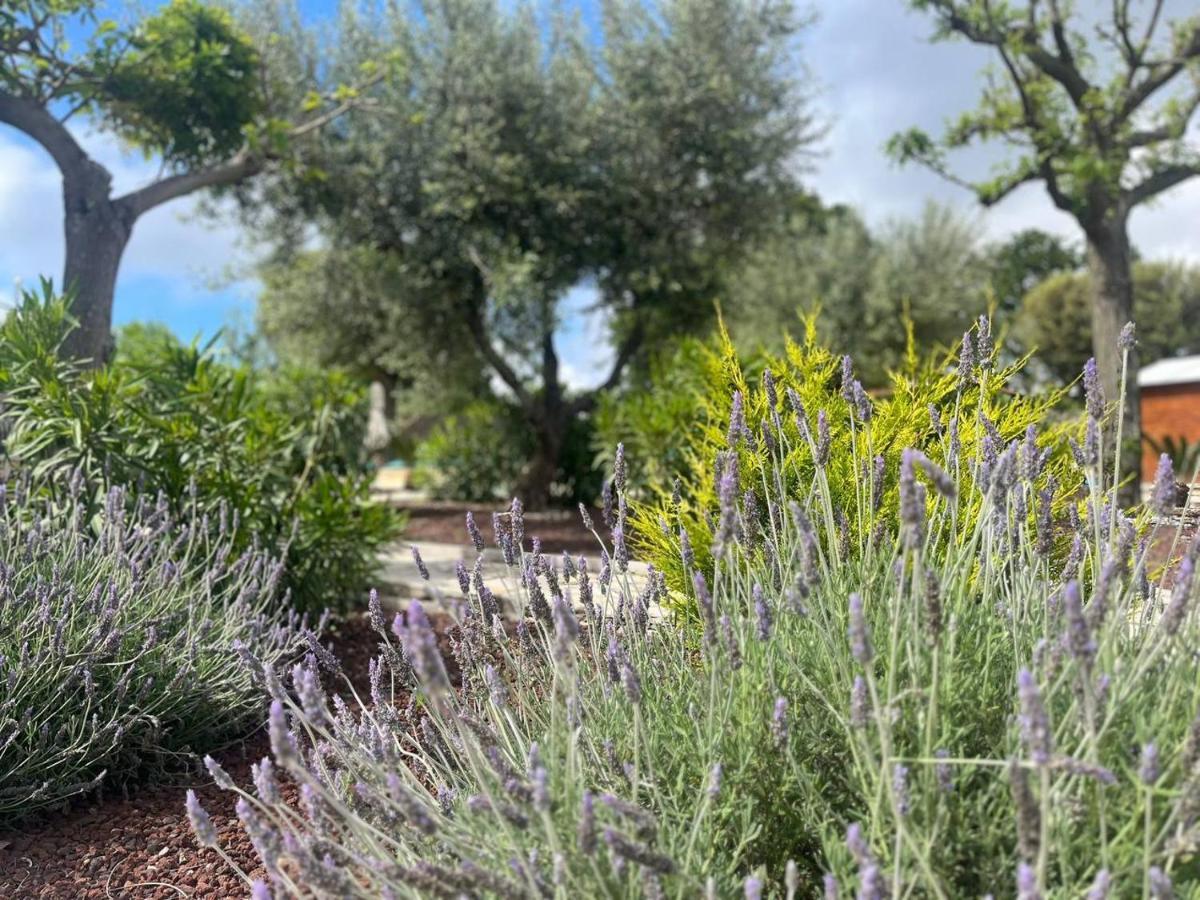 Maison Dei Trulli Apartment Locorotondo Luaran gambar