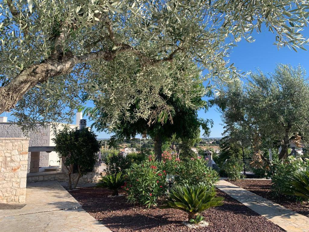Maison Dei Trulli Apartment Locorotondo Luaran gambar
